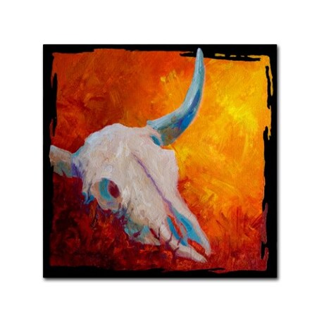 Marion Rose 'Longhorn Skull' Canvas Art,18x18